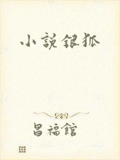 小说银狐