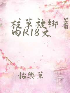 校草被绑着玩纯肉R18文