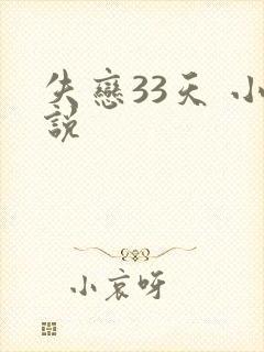 失恋33天 小说