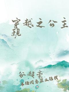 穿越之公主要娶亲