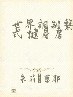 世界调制系统模式 健身房