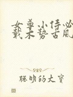 女尊小侍必须佩戴木势古风