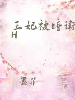 王妃被暗卫肉高H