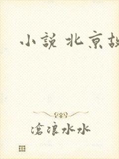 小说 北京故事