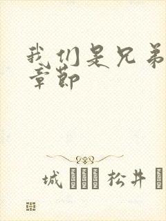 我们是兄弟最新章节