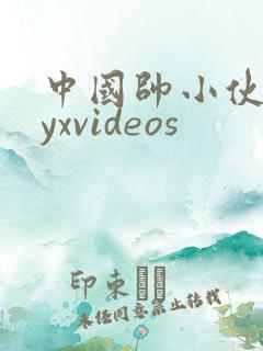 中国帅小伙gayxvideos