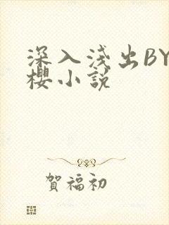 深入浅出BY胖樱小说