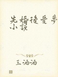 先婚后爱梦筱二小说