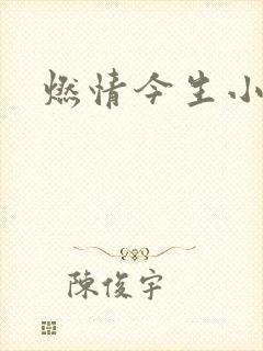 燃情今生小说