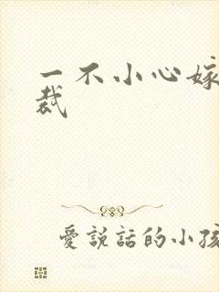 一不小心嫁给总裁