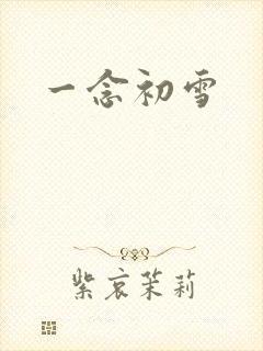 一念初雪