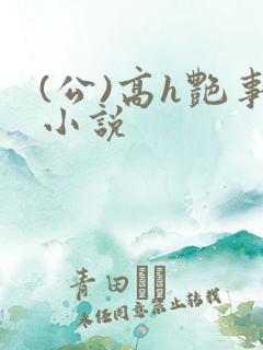 (公)高h艳事小说