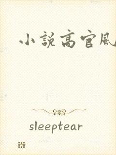 小说高官风流