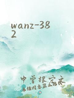 wanz-382