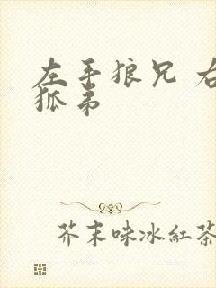 左手狼兄 右手狐弟