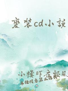 变装cd小说