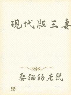 现代版三妻四妾