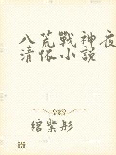 八荒战神夜麟云清依小说