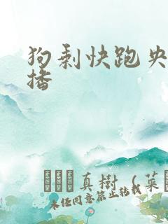 狗剩快跑央八首播