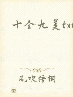 十全九美txt