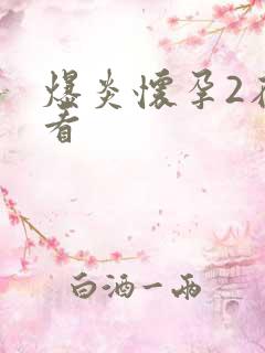 爆炎怀孕2在线看
