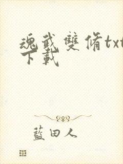 魂武双修txt下载