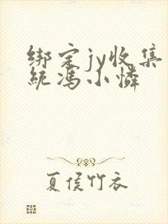 绑定jy收集系统冯小怜