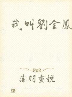 我叫刘金凤下架