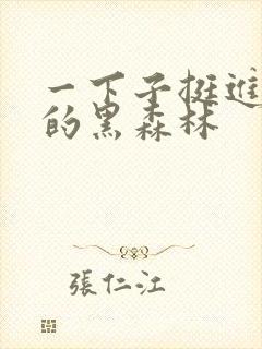 一下子挺进浓密的黑森林