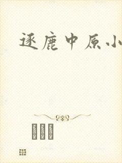 逐鹿中原小说