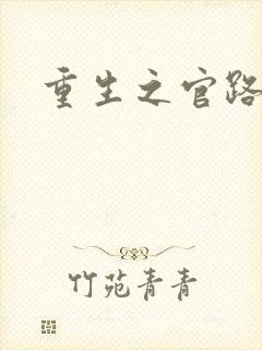 重生之官路情长