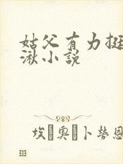 姑父有力挺送徐湫小说