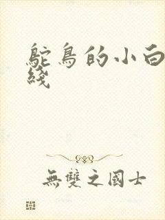 鸵鸟的小白脸路线