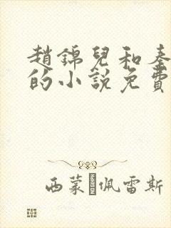 赵锦儿和秦慕修的小说免费阅读全文