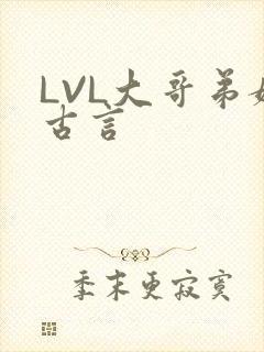 LVL大哥弟媳古言
