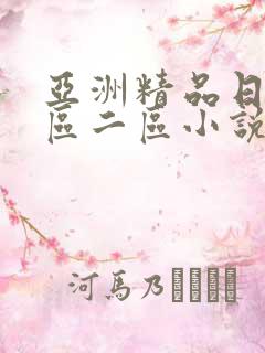 亚洲精品日韩一区二区小说