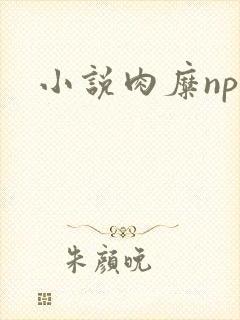 小说肉糜np