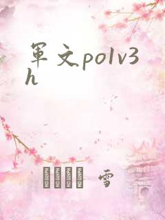 军文po1v3h