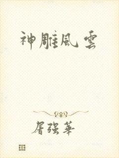 神雕风云
