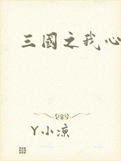 三国之我心狂想