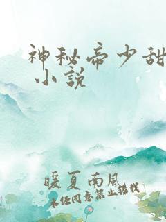 神秘帝少甜宠妻 小说