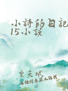 小诗的日记1一15小说