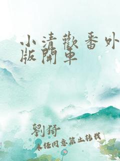 小清欢番外完整版开车