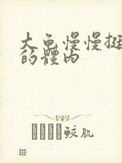 大龟慢慢挺进我的体内