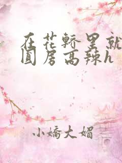 在花轿里就开始圆房高辣h