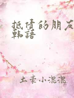 抵债的朋友麦子韩语