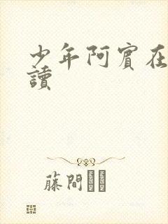 少年阿宾在线阅读