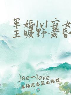 军婚1v1宠女主旷野黄昏