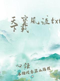 天宝风流txt下载