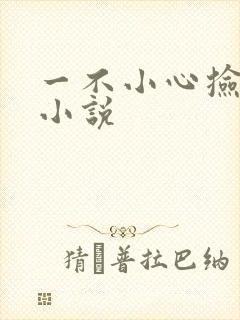 一不小心捡到爱小说